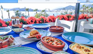 Berk Balık ( Bodrum )